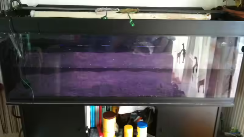 Fast leer,Aquascaping kann in kürze beginnen. von Bitman (2)