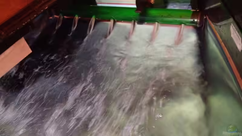 Fast Voll von Tobias Sch. (6)