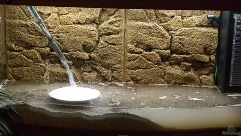 Fast wie aus dem Bilderbuch.. nur daß die Aufregung viel größer ist ;) von Markus K. (9)