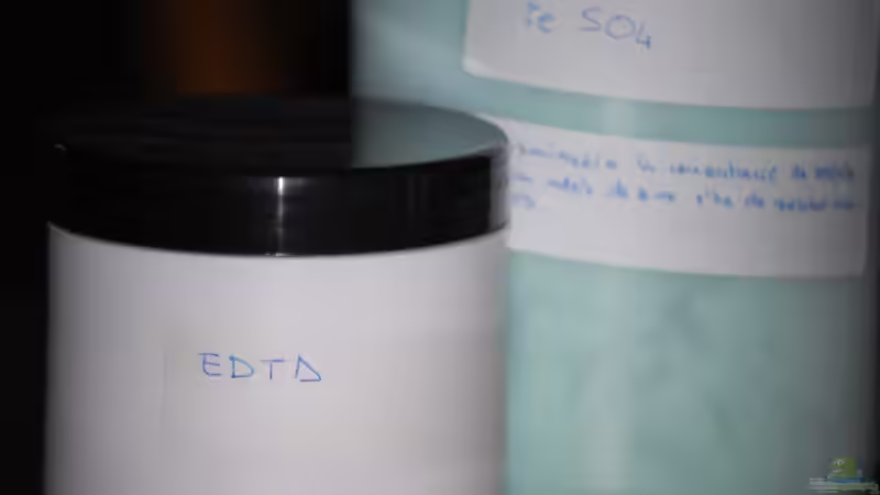 Fe von lomarraco (48)