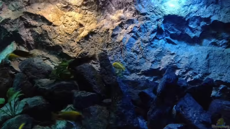 Feb. 2014 von der Steirer (18)