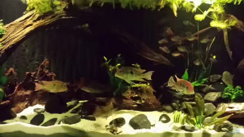 Februar 15 von NRW (18)