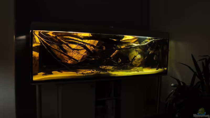 Februar 2011 von Laura (19)