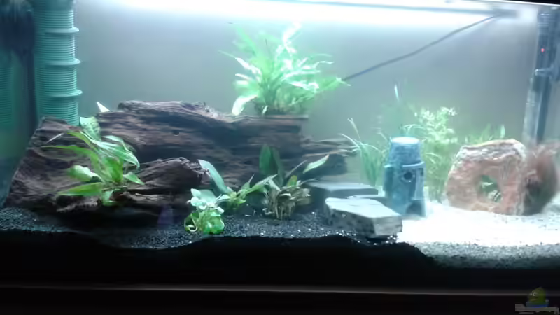 Februar 2012 von Jessi & Daniel (3)