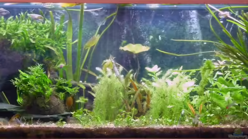 Februar 2013 von _ME_ (3)