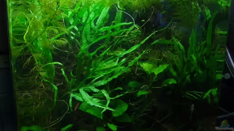 Februar 2015 von Denise83 (1)