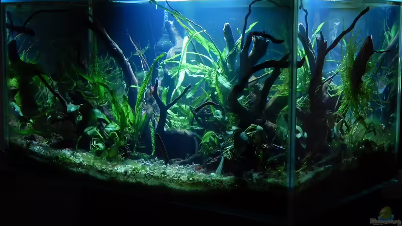 Februar 2015 von Stefan_S (10)