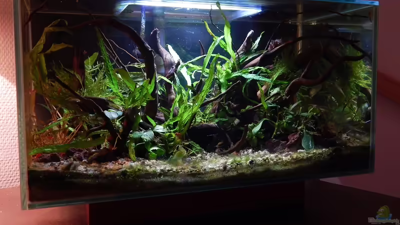 Februar 2015 von Stefan_S (11)