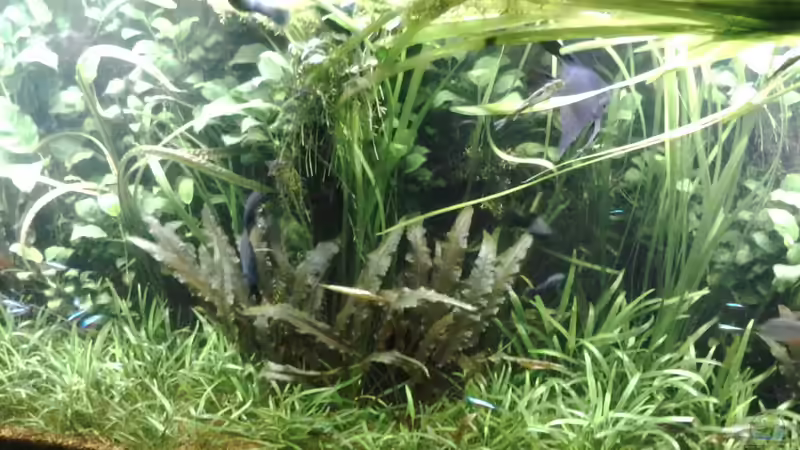 Februar 2015 von Steven Müller (8)