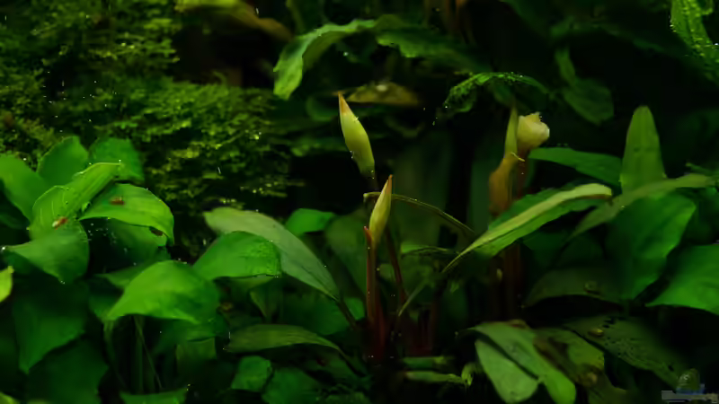 Februar 2016 von Micha... (21)