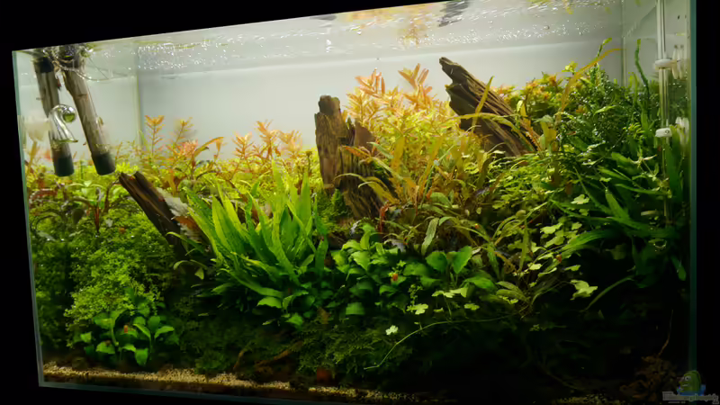 Februar 2016 von Micha... (24)