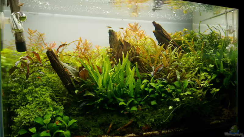 Februar 2016 von Micha... (25)