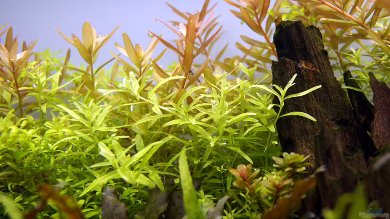 Februar 2016 von Micha... (28)