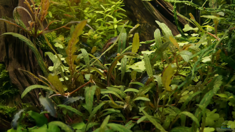 Februar 2016 von Micha... (29)