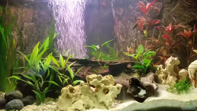 Februar 2016 von SvenDerGroße (2)