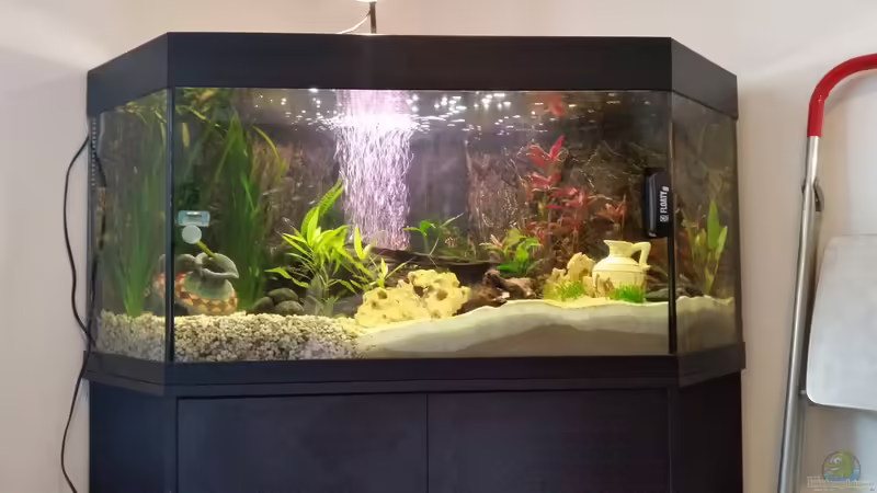 Februar 2016 von SvenDerGroße (5)