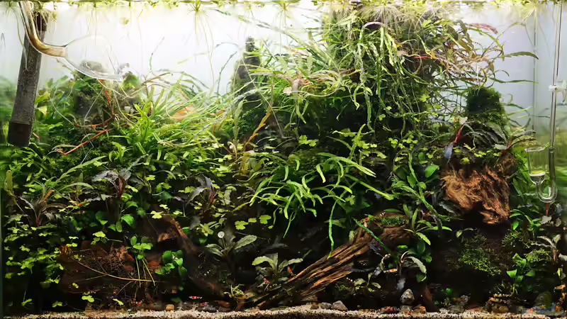 Februar 2019 von Micha... (18)