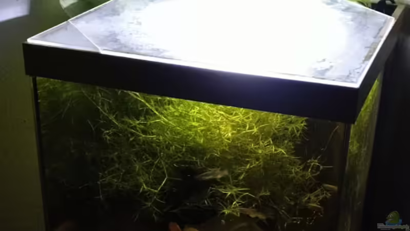 Februar 2020 von Gregor (2)