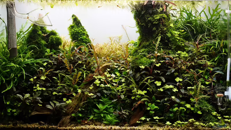 Februar 2020 von Micha... (26)