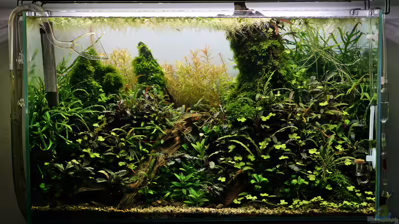 Februar 2020 von Micha... (27)