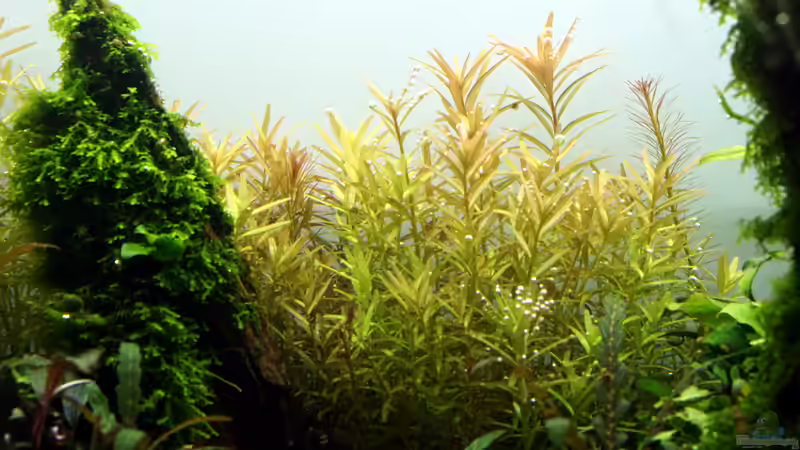 Februar 2020 von Micha... (56)