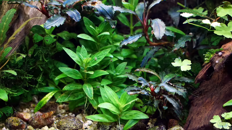 Februar 2020 von Micha... (57)