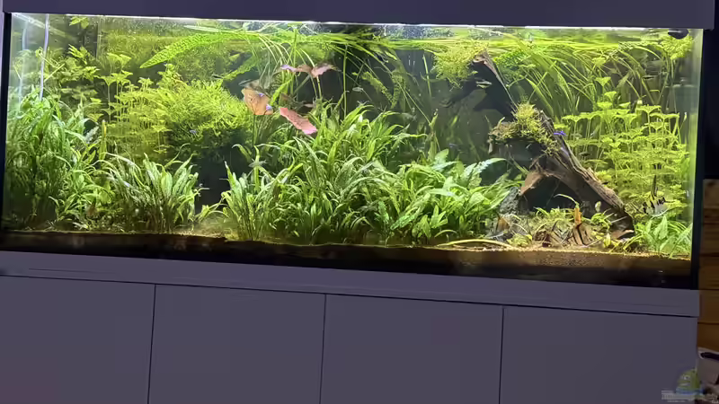 Februar 2026 von signo (28)