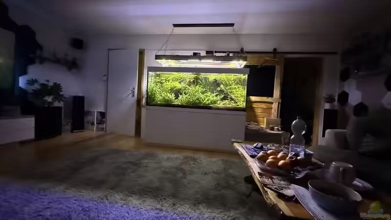 Februar 2026 von signo (29)