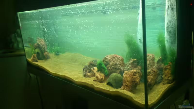 Fehlen nur noch3d Rückwand Wurzeln und viele Pflanzen :) von &lt;---MARCO---&gt; (11)