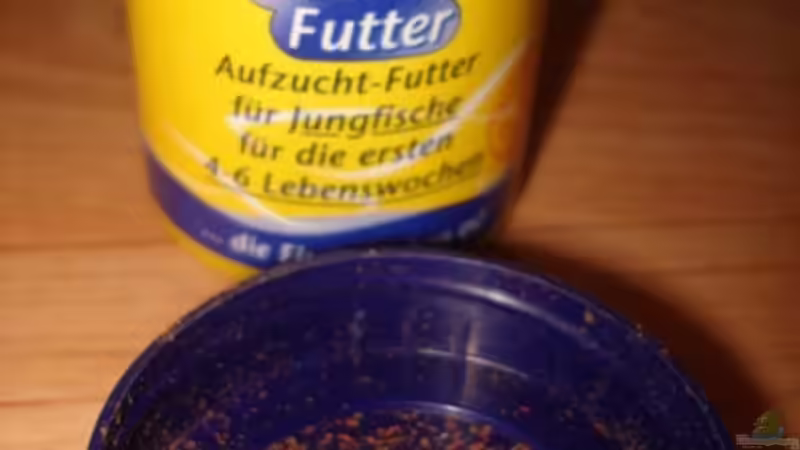 Fein Flockenfutter ebenfalls für die Jungfische von Lukas Szewczyk (19)