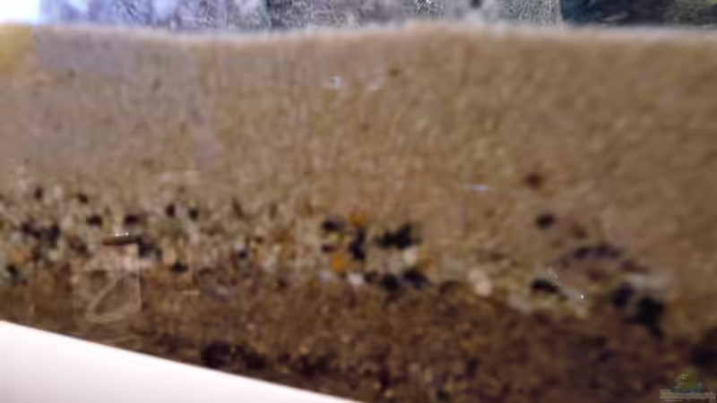 Feiner Sand, grober Sand, Dennerle Düngererde von Guzzi-Werner (23)