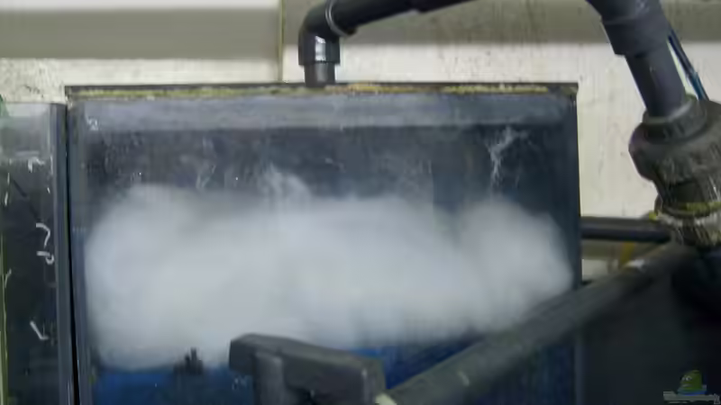 Feinfilterung von Andreas L (25)