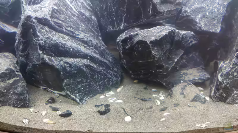 Feinheiten 3 von Stefan von Oettingen (21)