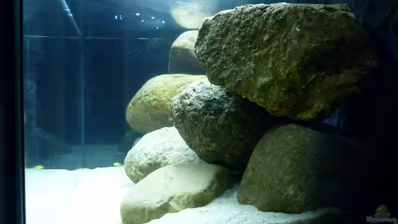 Feldsteine von Yellow Man (4)