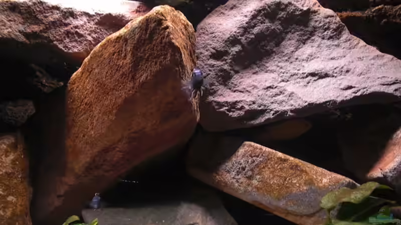 Fels der Entscheidung von Kai Pragal (5)