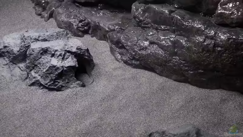 Fels in der Mitte von DER YBBSTALER (56)