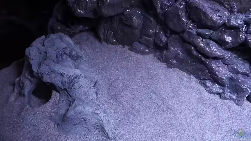 Fels links von DER YBBSTALER (54)