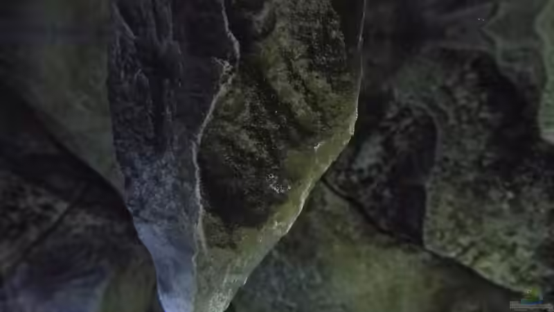 Fels Modul ragt ins Wasser von Sven (10)