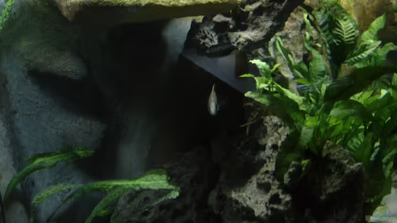 Felsaufbau links von ertzuio (10)