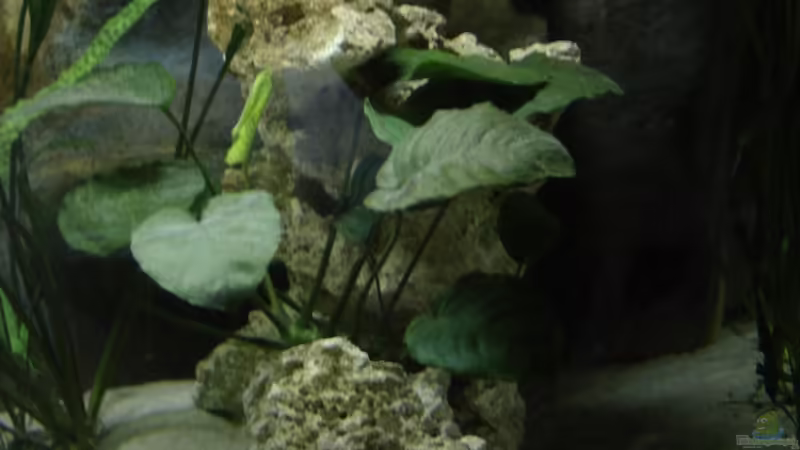 Felsaufbau rechts von ertzuio (12)