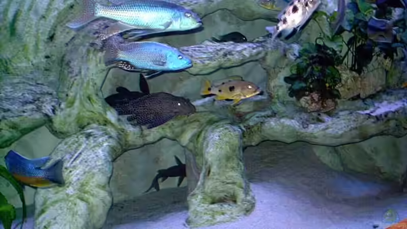 FELSAUFBAUTEN 3150L von Wolfgang Schlader (17)