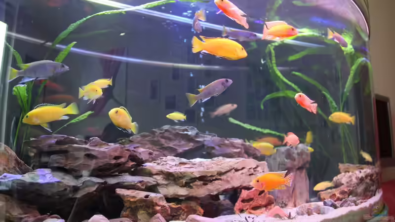 Felsaufbauten von Thomas Roscher (4)