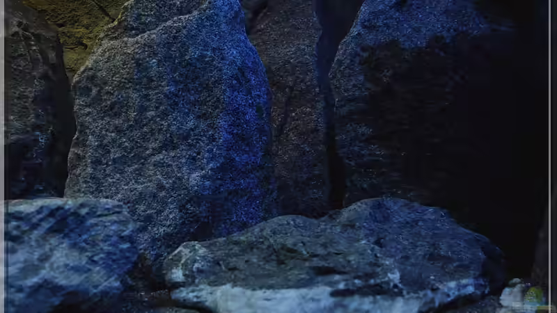 Felsen (3) von ***ELLIS*** (24)