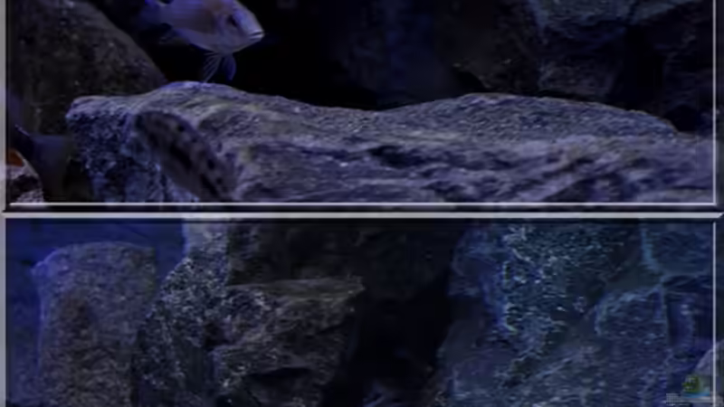 Felsen (6) - durchschwimmbare Spalte zwischen den beiden grossen Felsbrocken...:-) von ***ELLIS*** (27)