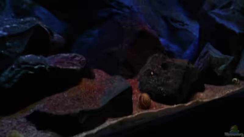 Felsen im Abendrot von Michael Reiz (7)