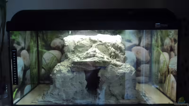 Felsen im Becken noch Unbehandelt von Michael Boeck (8)