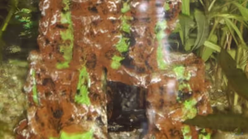 Felsen mit Höhle von Tobias Zimpel (14)