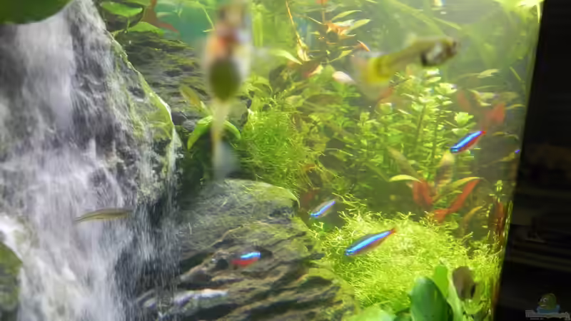 Felsen mit Wasserfall von Stefan Nibel (4)