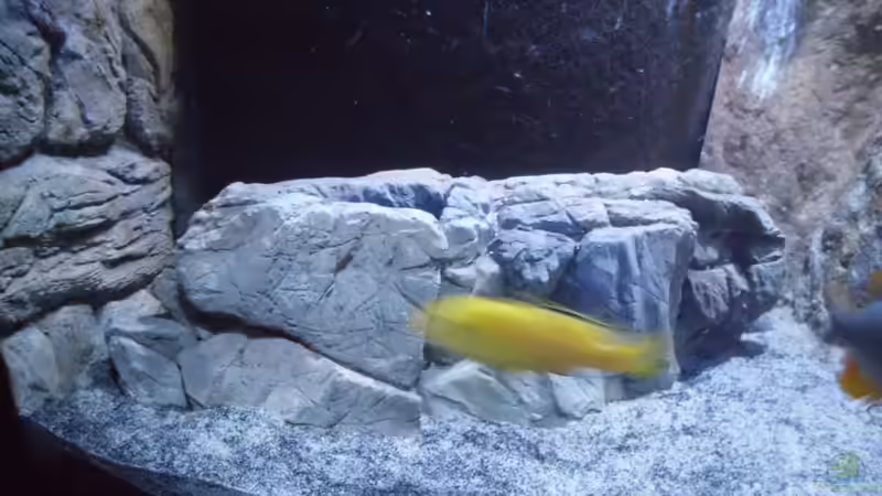 Felsen neu 2 von Noah (13)