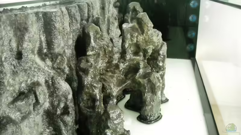 Felsen und Rückwand fertig eingeklebt von Herbert (11)
